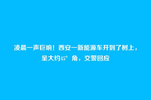 凌晨一声巨响!西安一新能源车开到了树上,呈大约45°角,交警回应