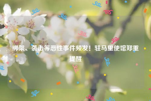 绑架、袭击等恶性事件频发!驻马里使馆郑重提醒