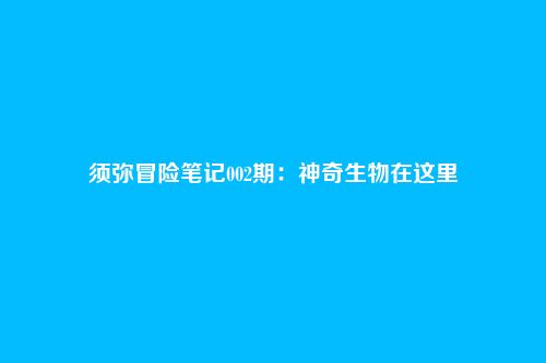 须弥冒险笔记002期:神奇生物在这里