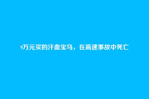 9万元买的汗血宝马,在高速事故中死亡