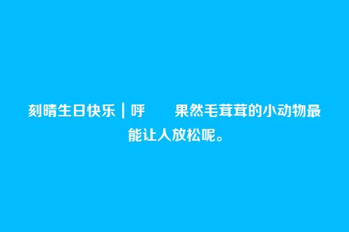 刻晴生日快乐|呼――果然毛茸茸的小动物最能让人放松呢。