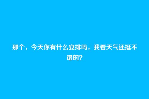 那个,今天你有什么安排吗,我看天气还挺不错的?