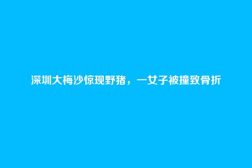 深圳大梅沙惊现野猪,一女子被撞致骨折