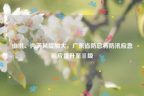山洪、内涝风险加大,广东省防总将防汛应急响应提升至Ⅲ级