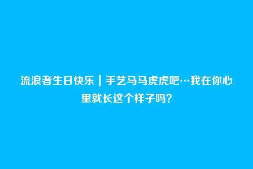流浪者生日快乐|手艺马马虎虎吧…我在你心里就长这个样子吗?