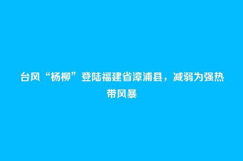 台风“杨柳”登陆福建省漳浦县,减弱为强热带风暴