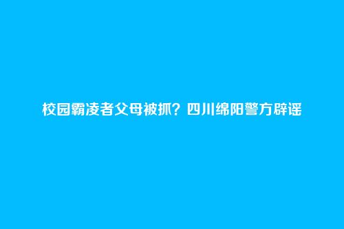 校园霸凌者父母被抓?四川绵阳警方辟谣